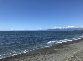 やっぱり夏は海?