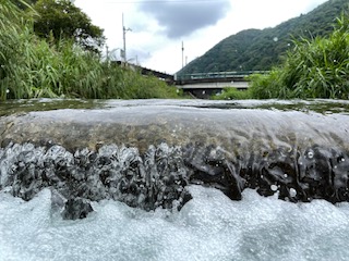 川遊び第三弾?