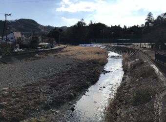 新年初の清川公園❄️